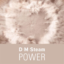 De Dry Microfine Steam (DMS) Technologie van Laurastar