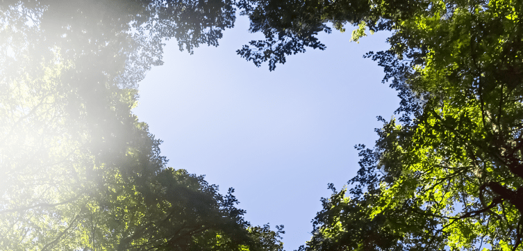 Une forêt en forme de cœur avec de la vapeur DMS émergeant, symbole de l'engagement de Laurastar pour un avenir durable.
